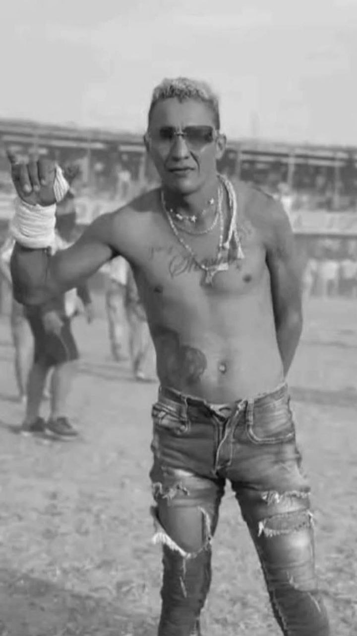 Bull Festival