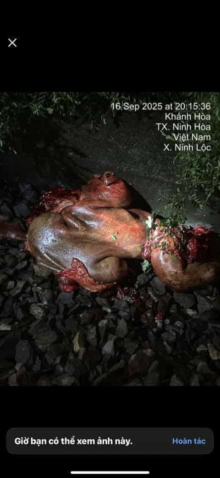 Hiện trường vụ tai nạn